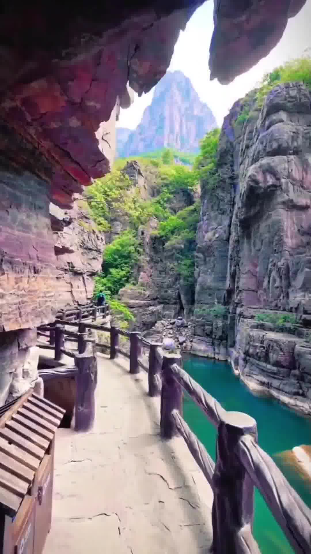 河南,致敬领导与朋友们的盛会